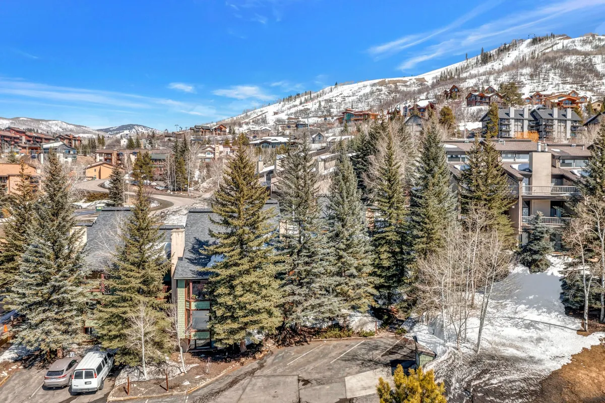 A striking exterior shot with modern architecture set against a backdrop of dense evergreen trees and snow-covered mountains, evoking a sense of adventure and connection to nature.